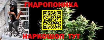 гидра Донецк