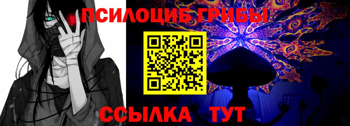 Галлюциногенные грибы ЛСД Мариинск