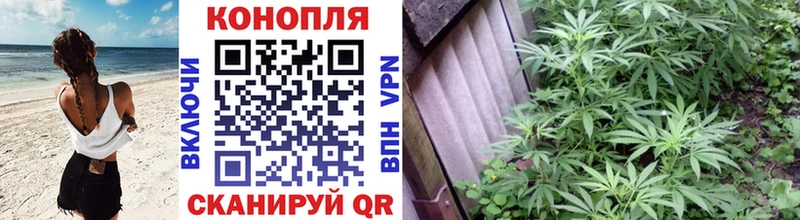 Шишки марихуана VHQ  KRAKEN онион  Мариинск 